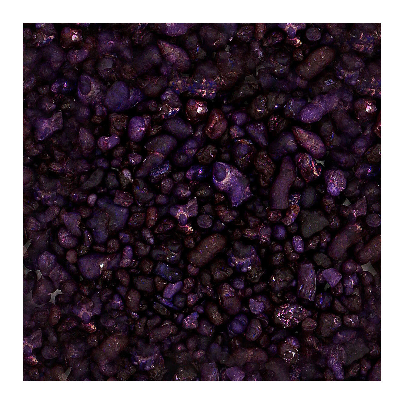 Eine Nahaufnahme des lila Kieses Weihrauch Lavendel.