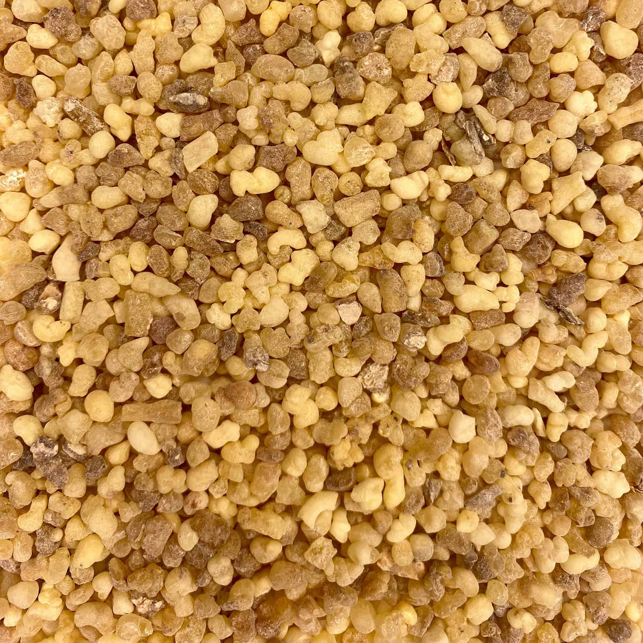 Eine Nahaufnahme eines Haufens brauner Weihrauchharz Olibanum Eritrea (Boswellia)-Samen.