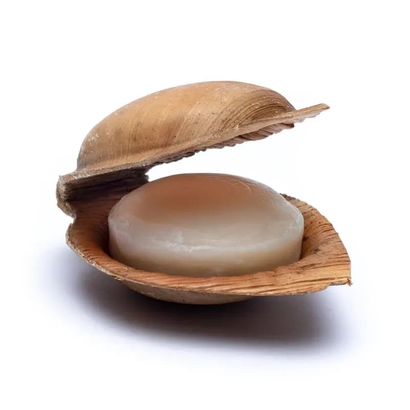 Eine Seife in einer Muschel auf weißem Hintergrund.